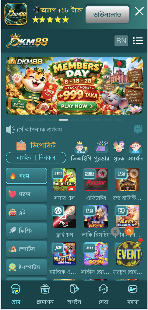 Dkm88 main